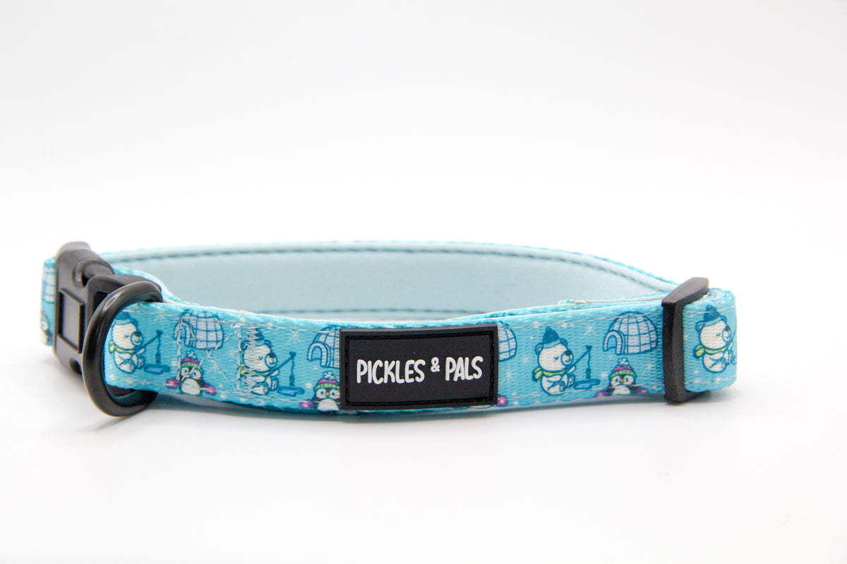 Dog collar with pickles hotsell on it